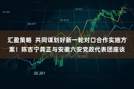 汇盈策略  共同谋划好新一轮对口合作实施方案！陈吉宁龚正与安徽六安党政代表团座谈