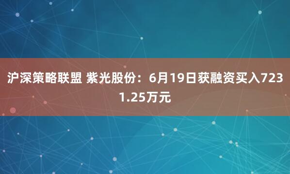 沪深策略联盟 紫光股份：6月19日获融资买入7231.25万元