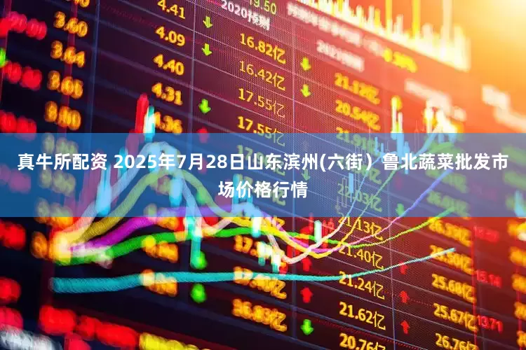 真牛所配资 2025年7月28日山东滨州(六街）鲁北蔬菜批发市场价格行情
