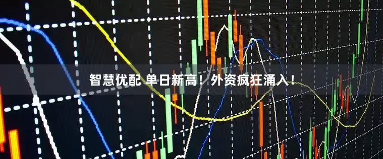 智慧优配 单日新高！外资疯狂涌入！