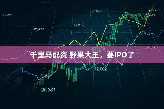 千里马配资 野果大王，要IPO了