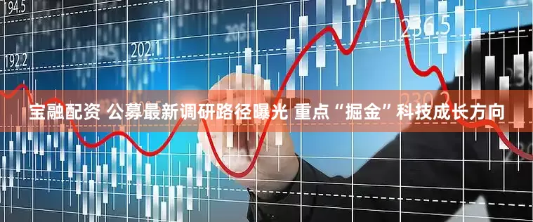 宝融配资 公募最新调研路径曝光 重点“掘金”科技成长方向