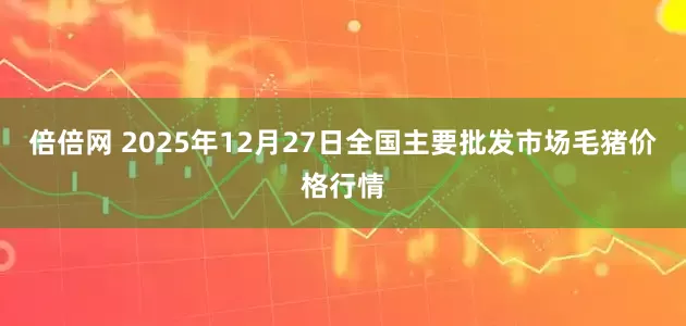 倍倍网 2025年12月27日全国主要批发市场毛猪价格行情