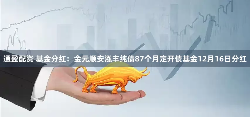 通盈配资 基金分红：金元顺安泓丰纯债87个月定开债基金12月16日分红
